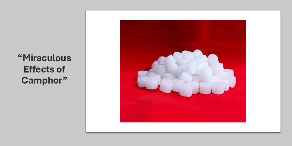 Camphor